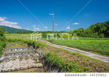 The clear stream of Tenjin River flowing through Ogi, Otsu City, Shiga Prefecture. The clear stream of Tenjin River flowing through Ogi, Otsu City, Shiga Prefecture. 141153611