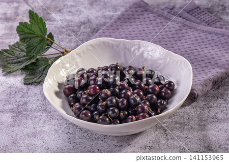 Black currants in white ceramic bowl with green leaves on textured gray surface 141153965