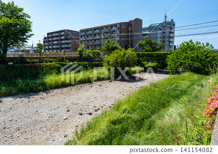 在一個晴朗的春日,沿著乾涸的野川河在東京調布市柴崎漫步。 在一個晴朗的春日,沿著乾涸的野川河在東京調布市柴崎漫步。 141154082