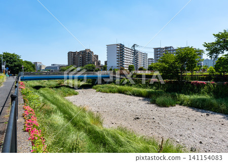 The parched Nogawa River, clear spring weather, Kikunodai, Chofu City, Tokyo The parched Nogawa River, clear spring weather, Kikunodai, Chofu City, Tokyo 141154083