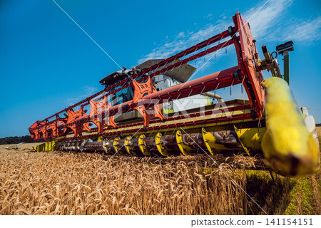Combine harvester in action on wheat field. Process of gathering a ripe crop. Combine harvester in action on wheat field. Process of gathering a ripe crop. 141154151