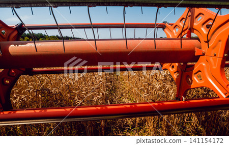 Combine harvester in action on wheat field. Process of gathering a ripe crop. 141154172