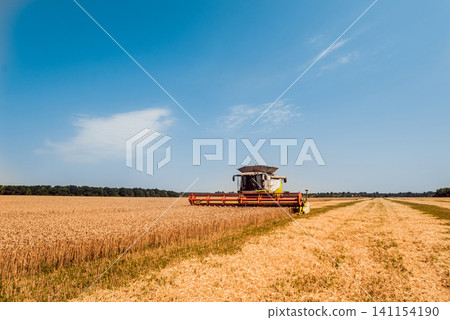Combine harvester in action on wheat field. Process of gathering a ripe crop. Combine harvester in action on wheat field. Process of gathering a ripe crop. 141154190