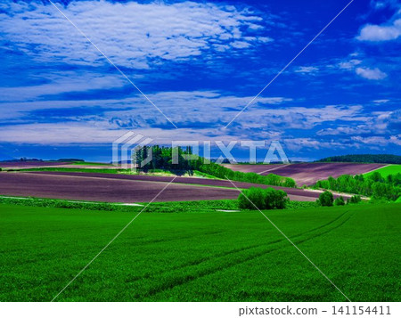 Vast hill Vast hill 141154411