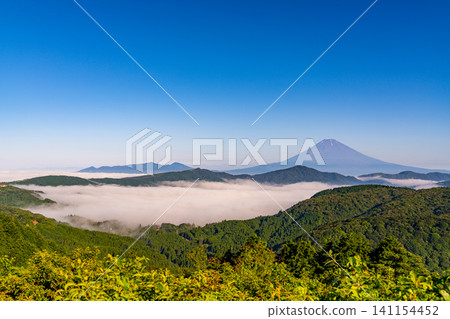 [Kanagawa Prefecture] Mount Fuji as seen from Hakone Taikanzan during a break in the rainy season 141154452