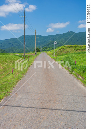 Terraced rice fields in Ogi, Otsu City, Shiga Prefecture Terraced rice fields in Ogi, Otsu City, Shiga Prefecture 141154611