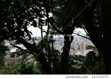 Japanese Residential Street with Modern Family Houses in Quiet Neighborhood 141154777