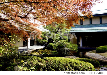 Kyoto Prefectural Citizens' Hall, Kyoto Prefectural Government Building, view of autumn leaves in the garden and tea room, Kamigyo Ward, Kyoto City Kyoto Prefectural Citizens' Hall, Kyoto Prefectural Government Building, view of autumn leaves in the garden and tea room, Kamigyo Ward, Kyoto City 141155009