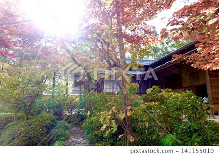 京都府市民會館、京都府政府大樓、花園及茶室秋葉景緻,京都市上京區 京都府市民會館、京都府政府大樓、花園及茶室秋葉景緻,京都市上京區 141155010