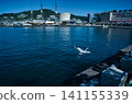 A grey heron flying over the seashore in Nagasaki. 141155339