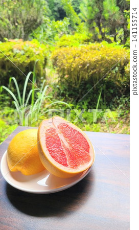 A shot of pink grapefruit against a backdrop of fresh greenery. A shot of pink grapefruit against a backdrop of fresh greenery. 141155714