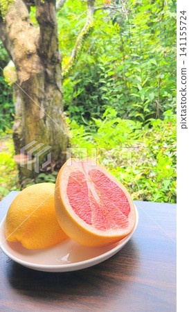 A shot of pink grapefruit against a backdrop of fresh greenery. A shot of pink grapefruit against a backdrop of fresh greenery. 141155724