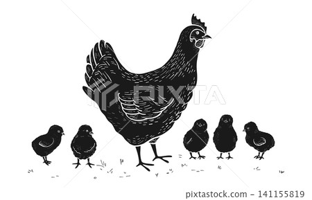 Sketch hen chick silhouette set hand drawn rooster chicken baby chicks vintage style rustic design 141155819