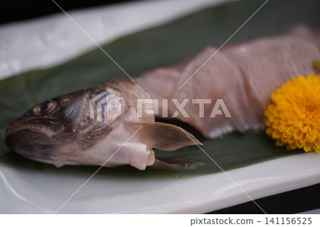 sashimi sashimi 141156525