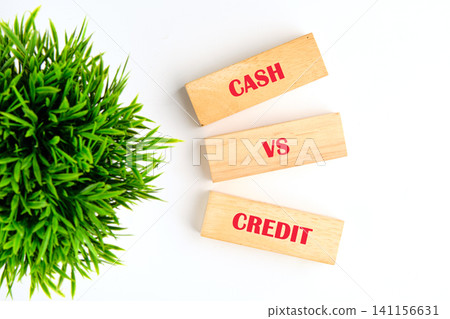Cash and credit are displayed on wooden blocks with a green plant nearby. The focus is on the comparison between cash and credit choices for transactions Cash and credit are displayed on wooden blocks with a green plant nearby. The focus is on the comparison between cash and credit choices for transactions 141156631
