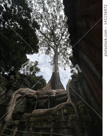 柬埔寨吳哥窟遺址的景色 柬埔寨吳哥窟遺址的景色 141156972