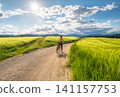 Woman riding mountain bike on dirt road and green wheat fields 141157753