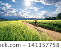 Woman riding mountain bike on dirt road and green wheat fields 141157758