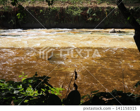 White silk flooring on the Osaru River White silk flooring on the Osaru River 141158315