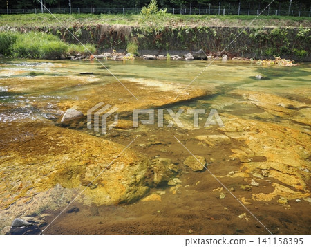 奧薩魯河畔的白色絲綢地板 奧薩魯河畔的白色絲綢地板 141158395