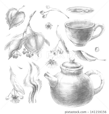 Graphite pencil sketch linden tea big set. Isolated hand-drawn monochrome botanical and kitchenware collection. For organic herbal packaging, eco branding, and vintage menu layouts. Graphite pencil sketch linden tea big set. Isolated hand-drawn monochrome botanical and kitchenware collection. For organic herbal packaging, eco branding, and vintage menu layouts. 141159156