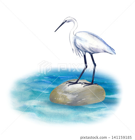 Hand-drawn watercolor white heron on rock in sea illustration on an isolated background. For summer vacation designs, marine-themed prints, greeting cards, and eco branding. Hand-drawn watercolor white heron on rock in sea illustration on an isolated background. For summer vacation designs, marine-themed prints, greeting cards, and eco branding. 141159185