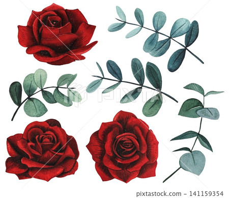 Hand drawn floral set with red roses and eucalyptus. Watercolor illustration. Hand drawn floral set with red roses and eucalyptus. Watercolor illustration. 141159354