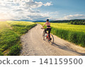Woman riding mountain bike on dirt road and green wheat fields 141159500