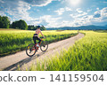 Woman riding mountain bike on dirt road and green wheat fields 141159504