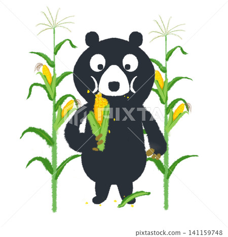 熊吃玉米的插圖 熊吃玉米的插圖 141159748