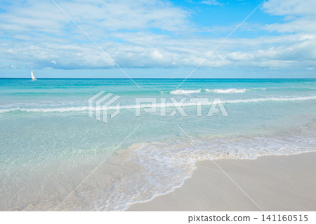 Calm ocean waves gently lap on the sandy shore under a bright blue sky Calm ocean waves gently lap on the sandy shore under a bright blue sky 141160515