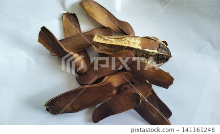 Pile of Dried Winged Mahogany Seeds on White Background 141161248