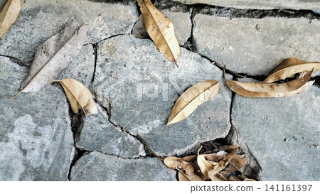 Dry Autumn Leaves Scattered on Cracked Concrete Surface Dry Autumn Leaves Scattered on Cracked Concrete Surface 141161397