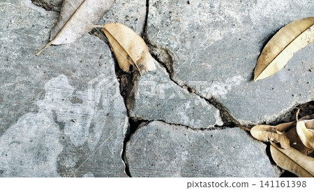 Dry Autumn Leaves Scattered on Cracked Concrete Surface Dry Autumn Leaves Scattered on Cracked Concrete Surface 141161398