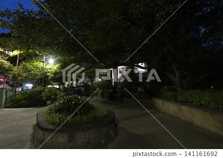 埃里斯曼家的夜晚 埃里斯曼家的夜晚 141161692