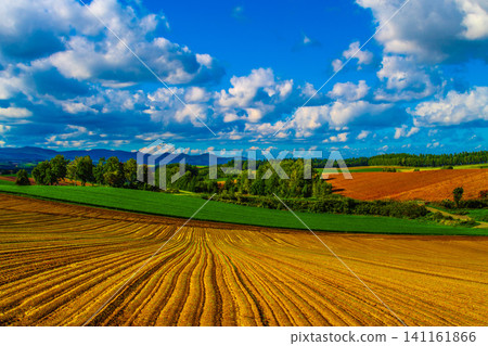 Rural landscape Rural landscape 141161866
