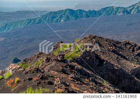 Lava Field Panorama Lava Field Panorama 141161908
