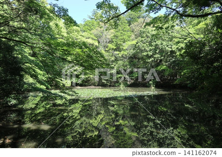 Pilgrimage to Ise, the pond at the Inner Shrine of Ise Jingu Pilgrimage to Ise, the pond at the Inner Shrine of Ise Jingu 141162074