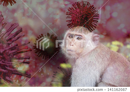 Mpox caused by monkeypox virus. Monkeypox outbreak. Viral transmission from animals to humans. Smallpox vaccine, and public health efforts in controlling spread of disease. Virus harbored in monkeys. 141162087