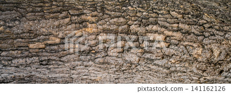 Close-up of tree bark texture background showcasing natural wood patterns and rough grainy surface, ideal for eco-friendly projects and nature-themed designs. Organic material and carbon neutrality. Close-up of tree bark texture background showcasing natural wood patterns and rough grainy surface, ideal for eco-friendly projects and nature-themed designs. Organic material and carbon neutrality. 141162126
