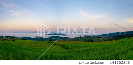 Landscape of green and gold rice terraces and mountain ranges and fog in the morning. Fog covered mountains and beautiful morning sky. Nature landscape. Rice farm field village in valley, Thailand. Landscape of green and gold rice terraces and mountain ranges and fog in the morning. Fog covered mountains and beautiful morning sky. Nature landscape. Rice farm field village in valley, Thailand. 141162206