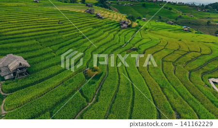 Landscape of green rice terraces amidst mountain agriculture. Travel destinations in Chiangmai, Thailand. Terraced rice fields. Traditional farming. Asian food. Thailand tourism. Nature landscape. Landscape of green rice terraces amidst mountain agriculture. Travel destinations in Chiangmai, Thailand. Terraced rice fields. Traditional farming. Asian food. Thailand tourism. Nature landscape. 141162229
