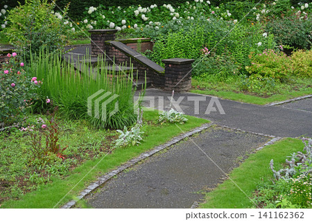 磚砌階梯和步道：水戶市七津堂公園內綠樹成蔭，遍布著鬱鬱蔥蔥的鄉村花園 141162362