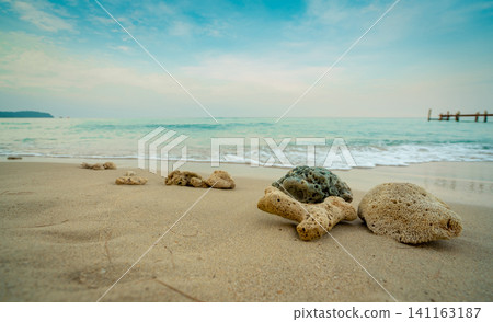 Corals on sand beach by the sea with blue sky and white clouds. Summer vacation on tropical paradise beach concept. Ripple of water splash on sandy beach. Summer vibes. Coral that were washed ashore. Corals on sand beach by the sea with blue sky and white clouds. Summer vacation on tropical paradise beach concept. Ripple of water splash on sandy beach. Summer vibes. Coral that were washed ashore. 141163187