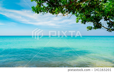 Turquoise sea and tropical tree branches on sunny beach. Coastal landscape. Summer travel destination. Paradise island tourism, summer vacation. Nature background. Travel, tourism, wellness, holiday. Turquoise sea and tropical tree branches on sunny beach. Coastal landscape. Summer travel destination. Paradise island tourism, summer vacation. Nature background. Travel, tourism, wellness, holiday. 141163201