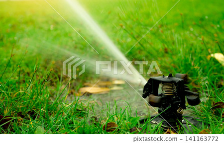 Automatic lawn sprinkler watering green grass. Garden, yard irrigation system watering lawn. Water saving or conservation from sprinkler system. Turf farm business. Sprinkler service and maintenance. Automatic lawn sprinkler watering green grass. Garden, yard irrigation system watering lawn. Water saving or conservation from sprinkler system. Turf farm business. Sprinkler service and maintenance. 141163772