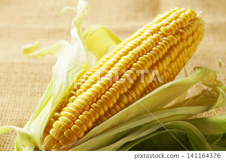 Seasonal vegetables, summer corn, maize, and corn Seasonal vegetables, summer corn, maize, and corn 141164376