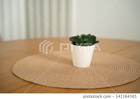 Minimalist houseplant in a white pot on a round woven mat in a serene interior. Home decoration indoor gardening and minimalist decor Minimalist houseplant in a white pot on a round woven mat in a serene interior. Home decoration indoor gardening and minimalist decor 141164385