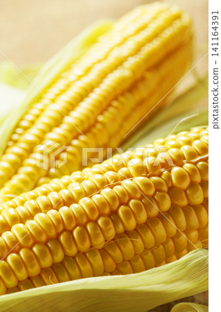 Seasonal vegetables, summer corn, maize, and corn 141164391