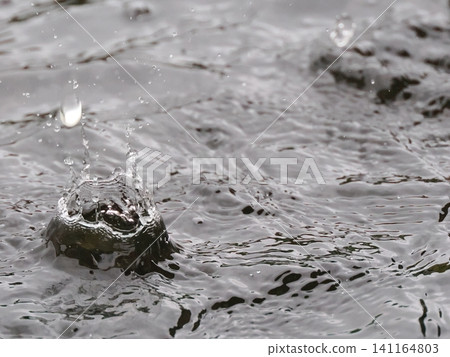 Water drops falling on the water surface Water drops falling on the water surface 141164803